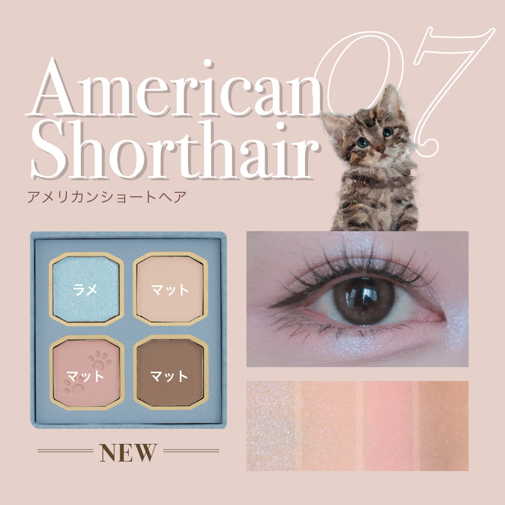 マイキティアイパレット